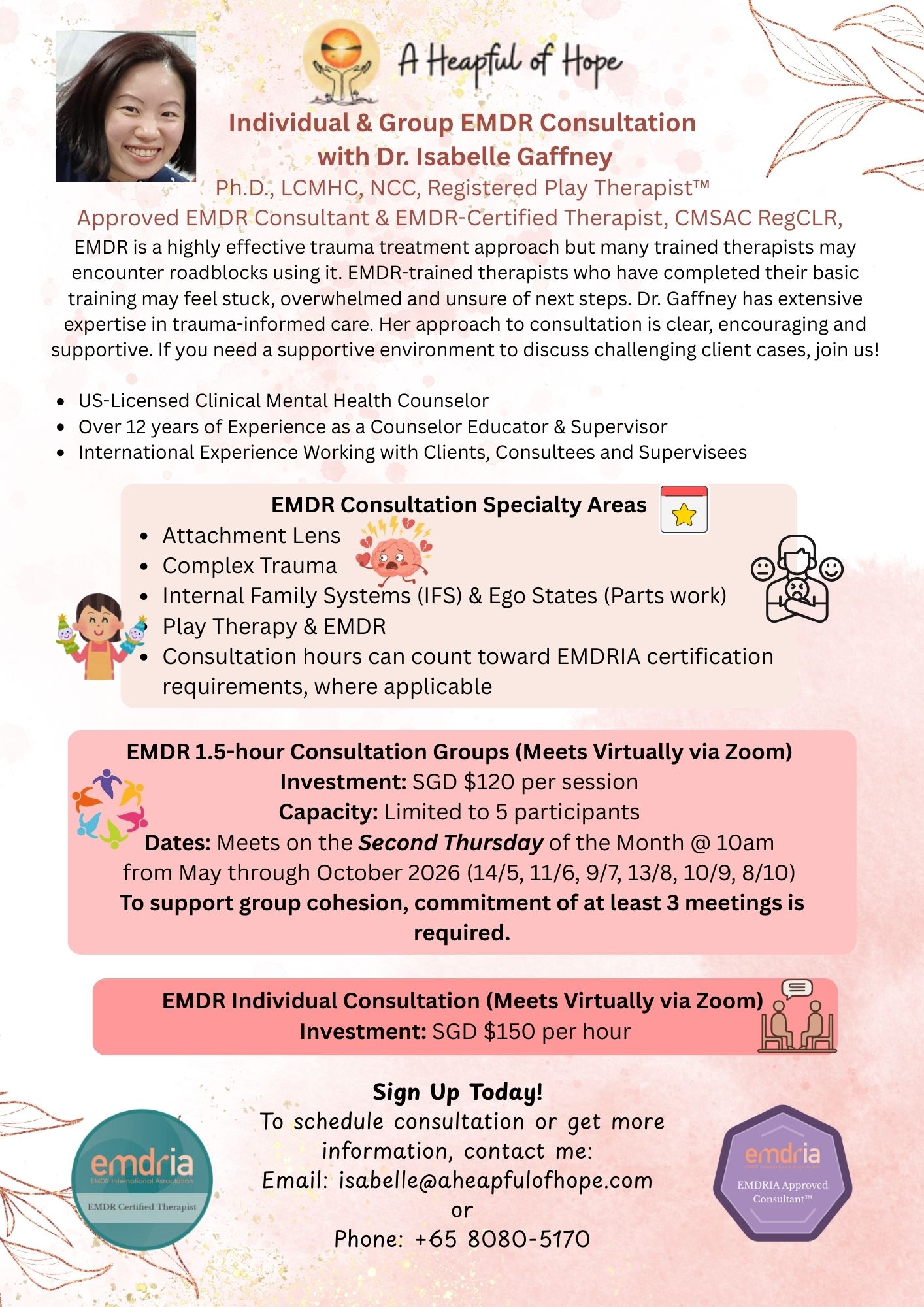 EMDR Individual and Group Consultation in Singapore and Asia